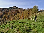 37 Lasciato il sent. 117, prendiamo il sent. 118 in salita al Passo di Monte Colle